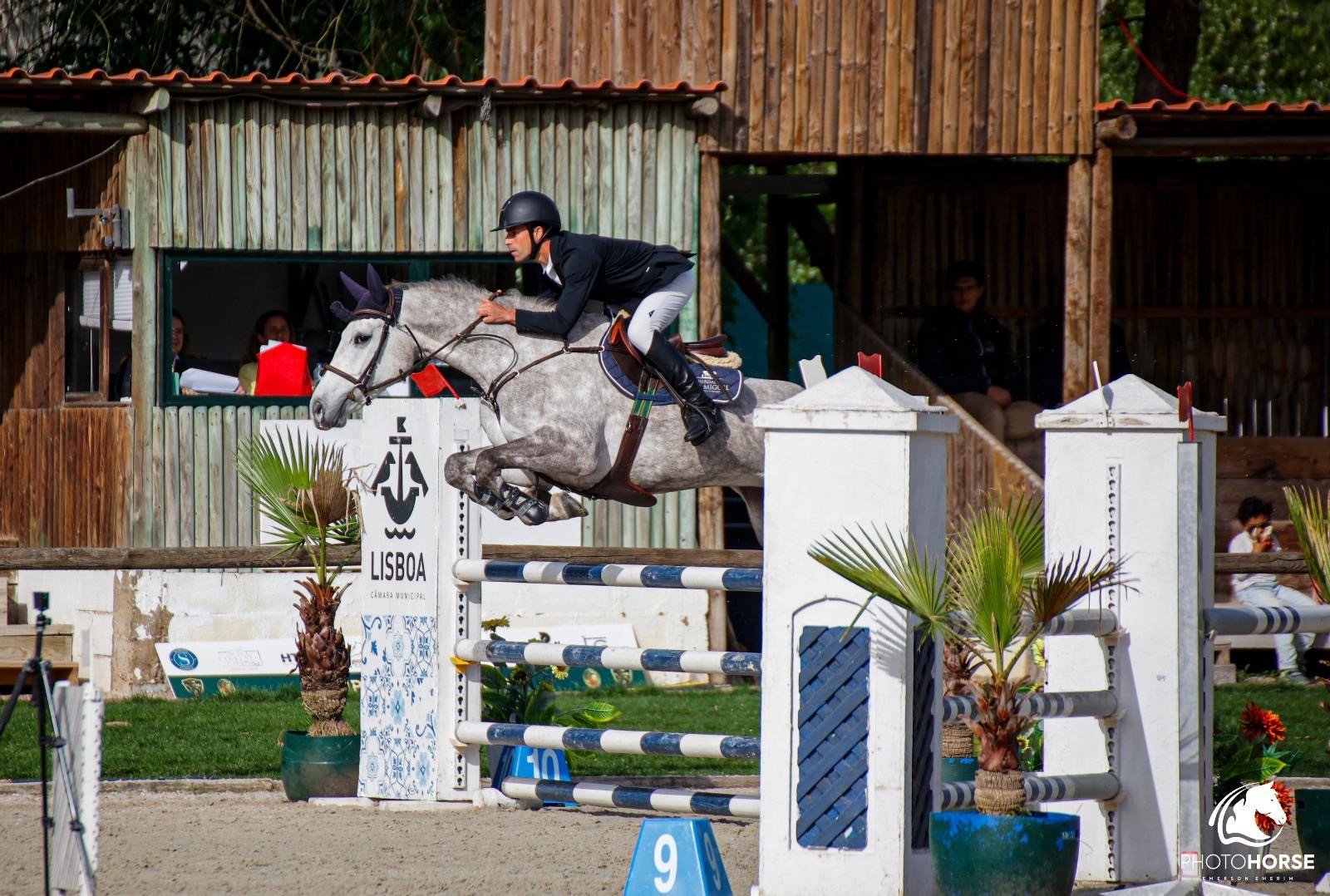 horse